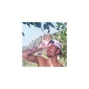 The lyrics GAVIOTAS DE CRISTAL of RELS B is also present in the album Fill de la mar (2026) (2026)