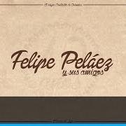 The lyrics MOSAICO PETERISTA of FELIPE PELÁEZ is also present in the album Felipe peláez y sus amigos: 10 años (2015)