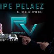 The lyrics LLEGO EL MOMENTO of FELIPE PELÁEZ is also present in the album Felipe peláez - 30 grandes éxitos (2014)