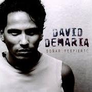 The lyrics PALABRA DE AMOR of DAVID DEMARIA is also present in the album Soñar despierto (1999)