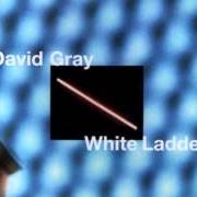 The lyrics NIGHTBLINDNESS of DAVID GRAY is also present in the album White ladder (1998)