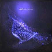 The lyrics PANTA REI of AGORIA is also present in the album Impermanence (2011)