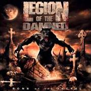 The lyrics DEATH IS MY MASTER (SLAY FOR KALI) of LEGION OF THE DAMNED is also present in the album Sons of the jackal (2007)