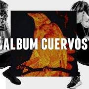 The lyrics VAMPIROS of DUKI & C.R.O is also present in the album Cuervos (2019)