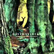 The lyrics THE DEPARTMENT OF DEAD LETTERS of DAVID SYLVIAN is also present in the album Manafon (2009)
