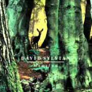 The lyrics SNOW WHITE IN APPALACHIA of DAVID SYLVIAN is also present in the album Manafon (2009)