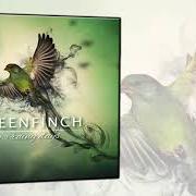 The lyrics AUTUMN COLORS of GREENFINCH is also present in the album From soul to souls (2019)