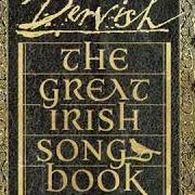 The lyrics SHE MOVED THROUGH THE FAIR (FEAT. ANDREA CORR) of DERVISH is also present in the album The great irish songbook (2019)
