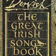 The lyrics THE WEST COAST OF CLARE (FEAT. DAVID GRAY) of DERVISH is also present in the album The great irish songbook (2019)