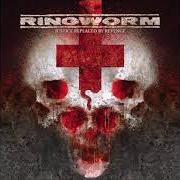 The lyrics NO ONE DIES ALONE of RINGWORM is also present in the album Justice replaced by revenge (2005)