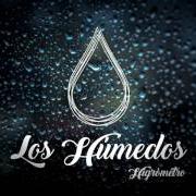 The lyrics TODO FUE of LOS HUMEDOS is also present in the album Higrometro (2016)