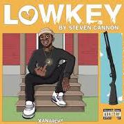 The lyrics LO$T of STEVEN CANNON is also present in the album Lowkey (2019)