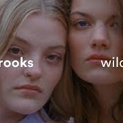 The lyrics WILD STARE of GIANT ROOKS is also present in the album Wild stare (2019)