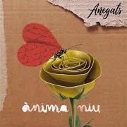 The lyrics EL FINAL DELS ANYS of ANEGATS is also present in the album Ànima niu (2019)