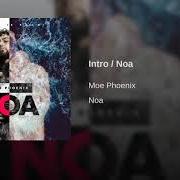 The lyrics SHUKRAN of MOE PHOENIX is also present in the album Noa (2018)