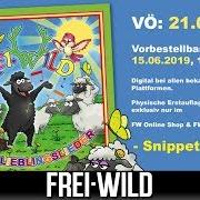 The lyrics SCHÜSSE IN DIE LUFT of FREI.WILD is also present in the album Unsere lieblingslieder (2019)