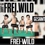 The lyrics TROTZDEM WEITERGEHEN of FREI.WILD is also present in the album 20 jahre - wir schaffen deutsch.Land (2021)