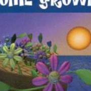 The lyrics WANNA-BE of HOME GROWN is also present in the album That's business (1995)