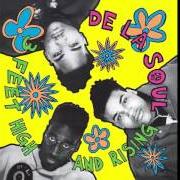 The lyrics DE LA ORGEE of DE LA SOUL is also present in the album 3 feet high and rising (1989)