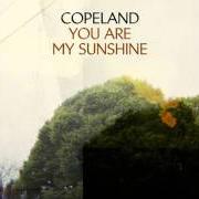 The lyrics YOU ARE MY SUNSHINE of COPELAND is also present in the album The grey man - ep (2009)