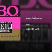The lyrics KA ALDE, KA G'SCHREI of JBO is also present in the album Explizite lyrik (1995)