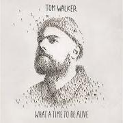 The lyrics CRY OUT of TOM WALKER is also present in the album What a time to be alive (2019)