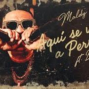 Sin maldy no hay perreo Sin maldy no hay perreo
