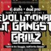 The lyrics D.O.W.N. of DEAD PREZ is also present in the album Rbg: revolutionary but gangsta (2004)