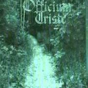 The lyrics DIVINITY of OFFICIUM TRISTE is also present in the album The pathway (2001)