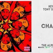 The lyrics CLINICAL of KEY! is also present in the album The alpha jerk (2021)