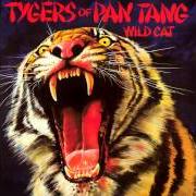 The lyrics WILD CATZ of TYGERS OF PAN TANG is also present in the album Wild cat (1980)