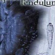 The lyrics RAINFALL of GAIAS PENDULUM is also present in the album Vité (2000)