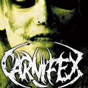 The lyrics ADORNMENT OF THE SICKENED of CARNIFEX is also present in the album The diseased and the poisoned (2008)