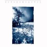 The lyrics LIFELINES OF DEPTHS of OCTAVIA SPERATI is also present in the album Winter enclosure (2005)