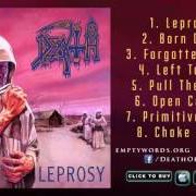 The lyrics PULL THE PLUG of DEATH is also present in the album Leprosy (1988)