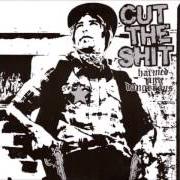 The lyrics YOU'RE THE PROBLEM of CUT THE SHIT is also present in the album Harmed and dangerous (2003)