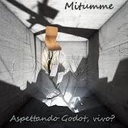 The lyrics LA MIA REALTÀ of MITUMME is also present in the album Aspettando godot, vivo?