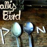 The lyrics I AM SO TIRED OF THAT LINE of WALLIS BIRD is also present in the album Wallis bird (2012)