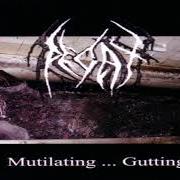 The lyrics SWARMING VILE of DECAY is also present in the album Gutting (2001)
