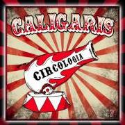 The lyrics LUCHAMOS POR LA CAUSA of LOS CALIGARIS is also present in the album Circología (2015)