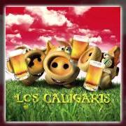 The lyrics SER FELIZ of LOS CALIGARIS is also present in the album Chanchos amigos (2005)