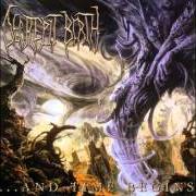 The lyrics CONDEMNED TO NOTHINGNESS of DECREPIT BIRTH is also present in the album ...And time begins (2003)