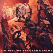The lyrics REFLECTION OF EMOTIONS of DECREPIT BIRTH is also present in the album Diminishing between worlds (2008)