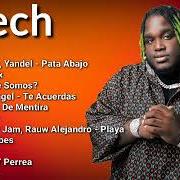 The lyrics PATABAJO of SECH is also present in the album 42 (2021)