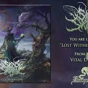 The lyrics CELESTIAL ASCENDANCE of SIGNS OF THE SWARM is also present in the album Vital deprivation (2019)