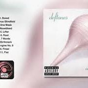 The lyrics ENGINE NO.9 of DEFTONES is also present in the album Adrenaline (1995)