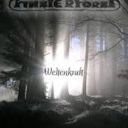 The lyrics WEINENDE RUINEN of FINSTERFORST is also present in the album Weltenkraft (2007)