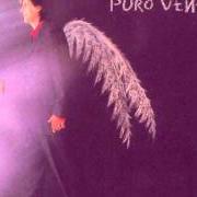 The lyrics EN UN MERCEDES BLANCO of KIKO VENENO is also present in the album Puro veneno (1998)