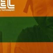 The lyrics STYLE POLICE of DEL THA FUNKEE HOMOSAPIEN is also present in the album Both sides of the brain (2000)