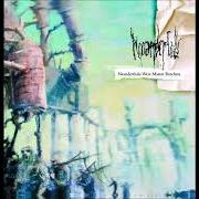 The lyrics DEFLESHING THE CADAVER BEFORE BURIAL of NEOANDERTALS is also present in the album Neanderthals were master butchers (2007)
